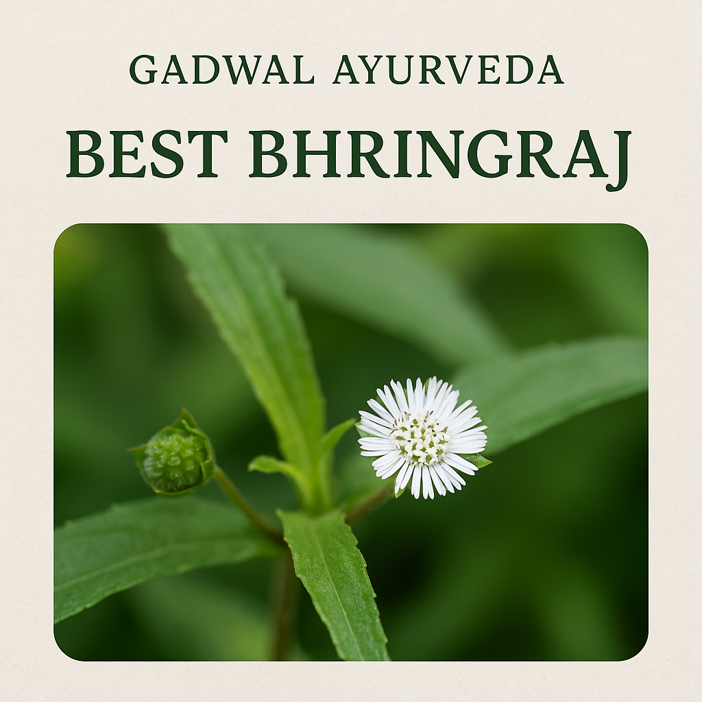 Bhringraj Powder