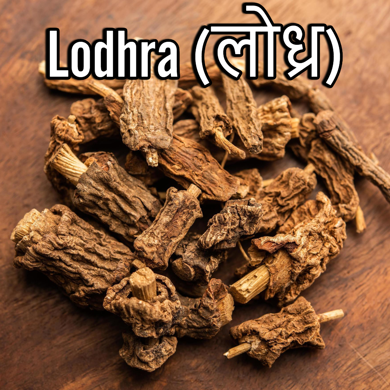 Lodhra (लोध्र का परिचय)