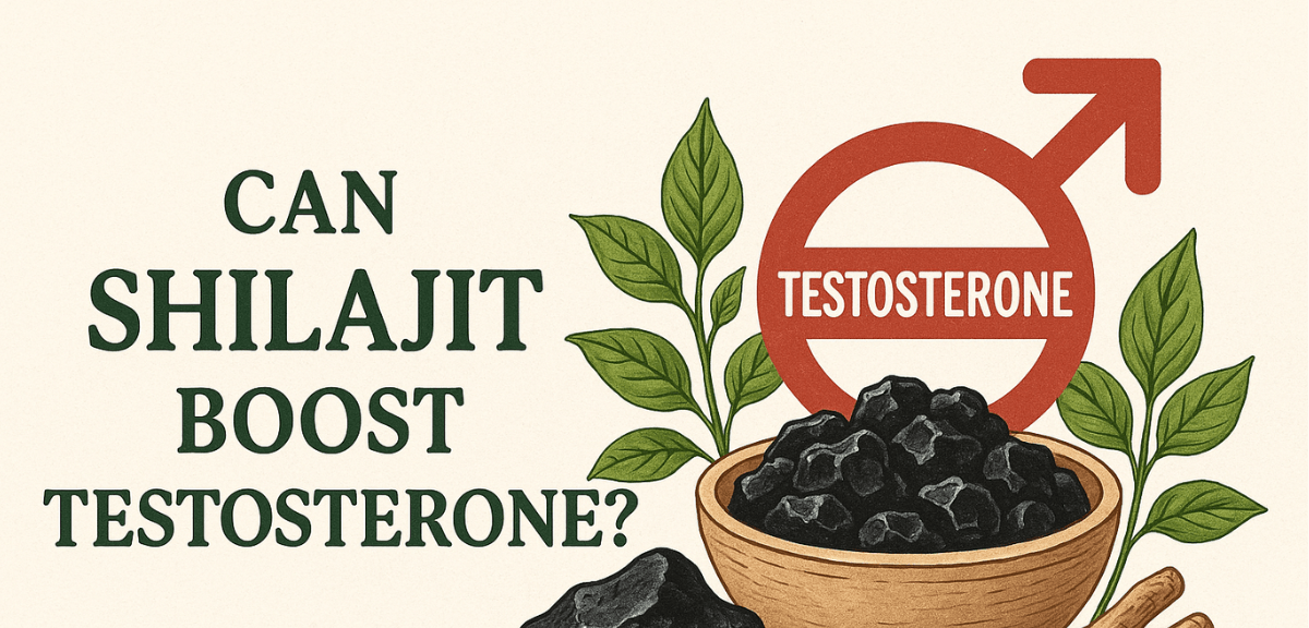 Can Shilajit increase testosterone