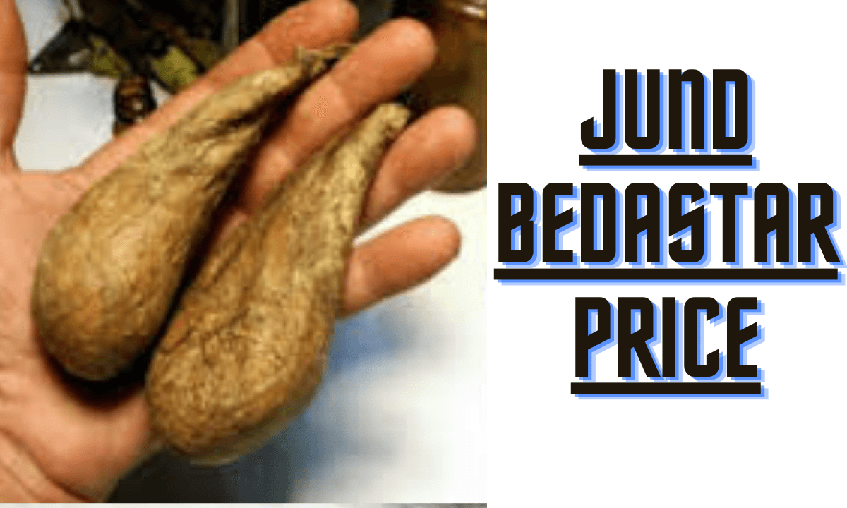 jund bedastar price