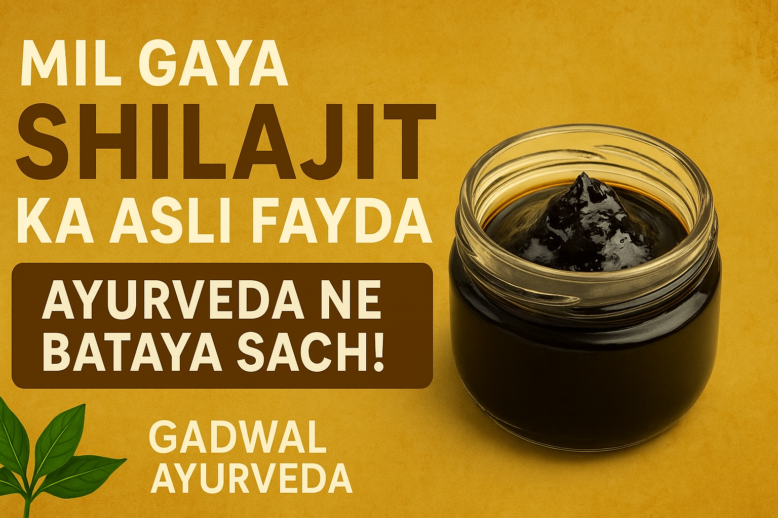 Shilajit Benefits